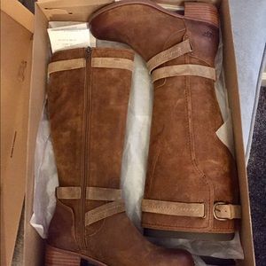 Ugg Darcie riding boots
